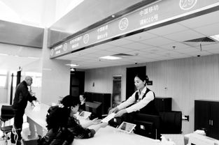 寧夏移動(dòng)信息服務(wù)業(yè)務(wù)進(jìn)駐市民大廳，開(kāi)啟便民服務(wù)新篇章